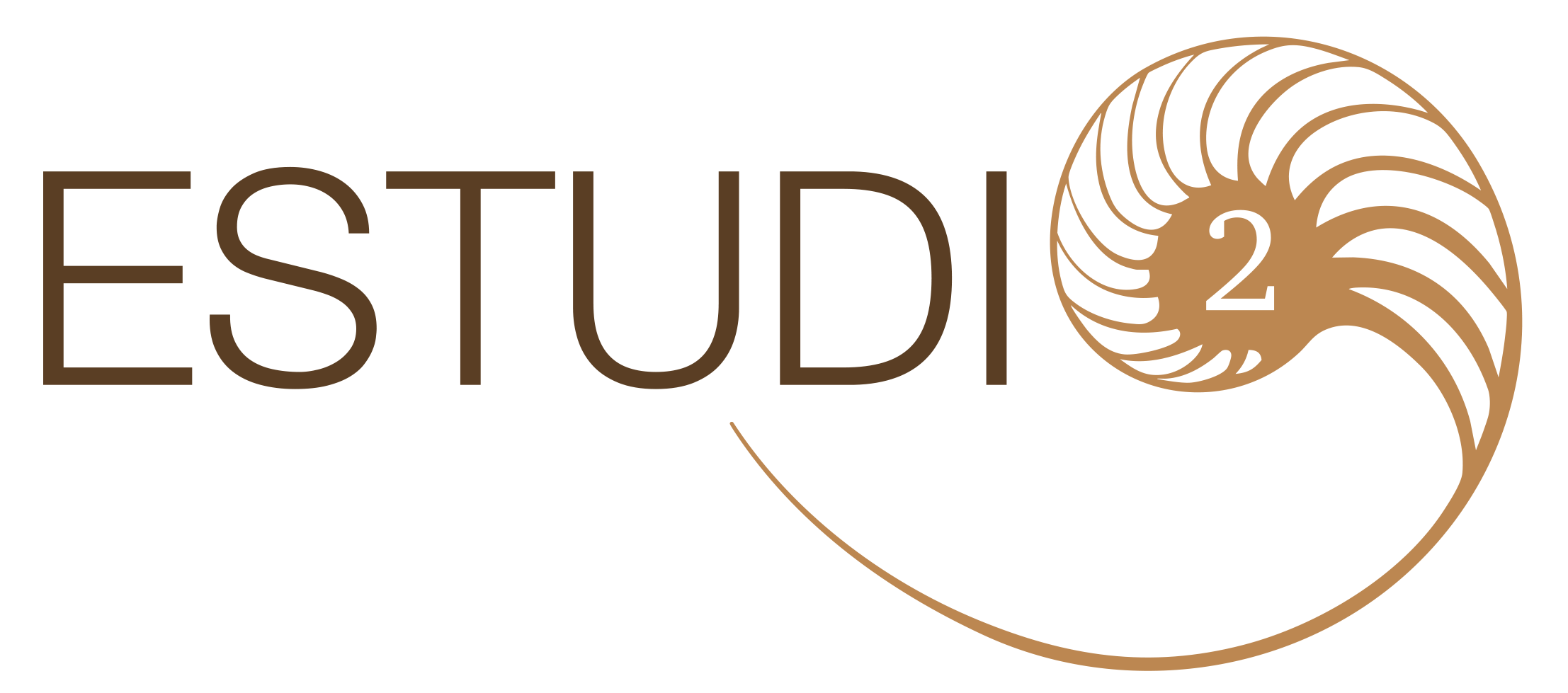 Estudi 2